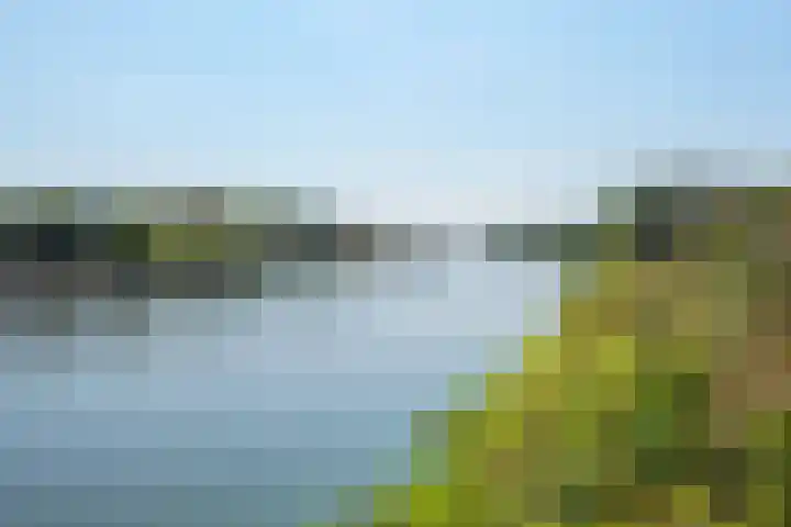 Ringvaartlaan 13 Hillegom thumbnail 44