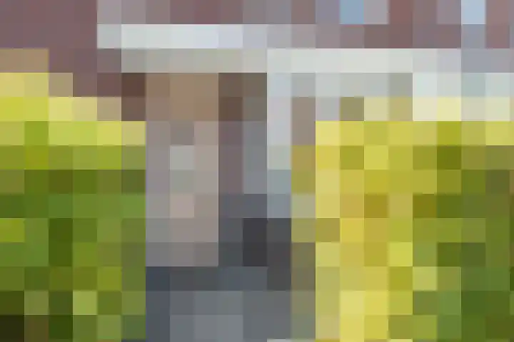 Ringvaartlaan 13 Hillegom thumbnail 5