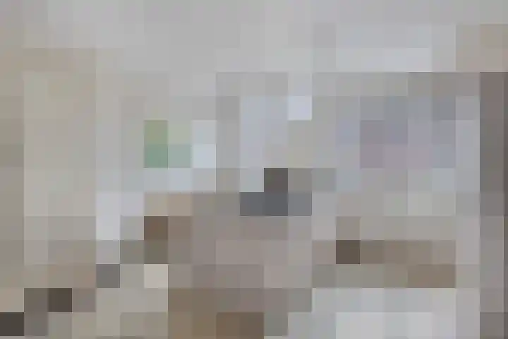 Ringvaartlaan 14 Hillegom thumbnail 14