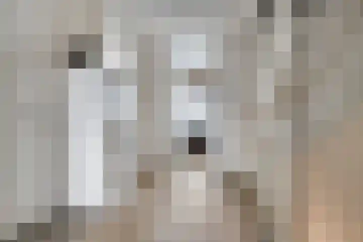 Ringvaartlaan 14 Hillegom thumbnail 18