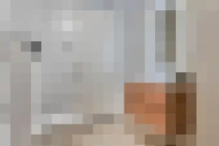Ringvaartlaan 14 Hillegom thumbnail 20
