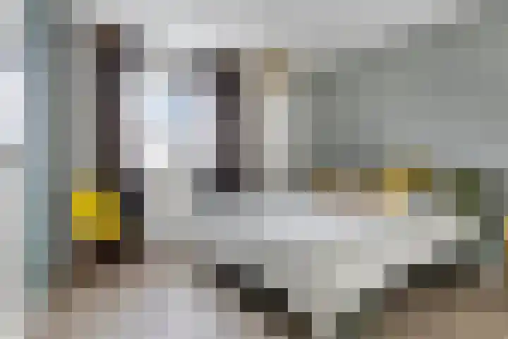 Ringvaartlaan 14 Hillegom thumbnail 21