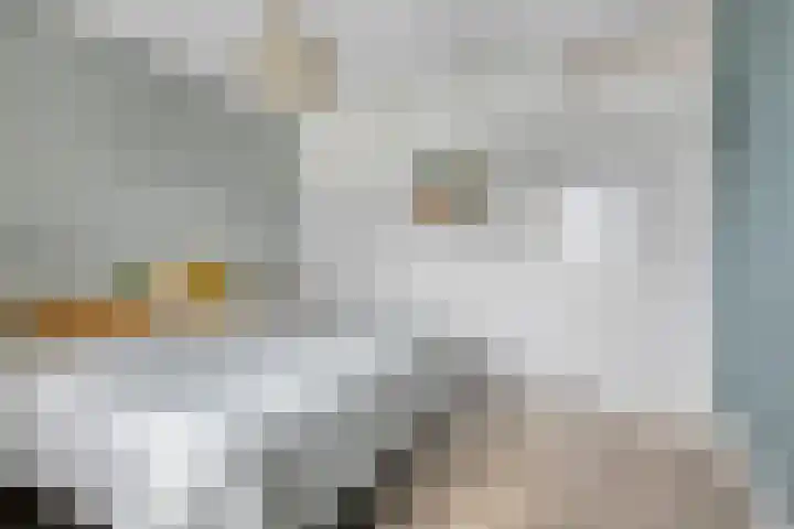 Ringvaartlaan 14 Hillegom thumbnail 22