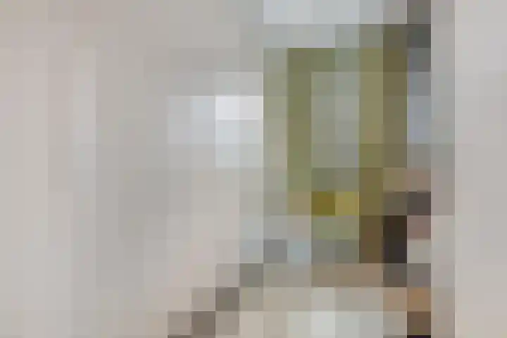 Ringvaartlaan 14 Hillegom thumbnail 27