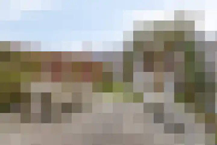 Ringvaartlaan 14 Hillegom thumbnail 34
