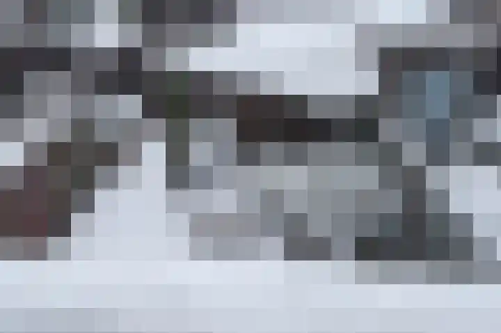 Ringvaartlaan 14 Hillegom thumbnail 38