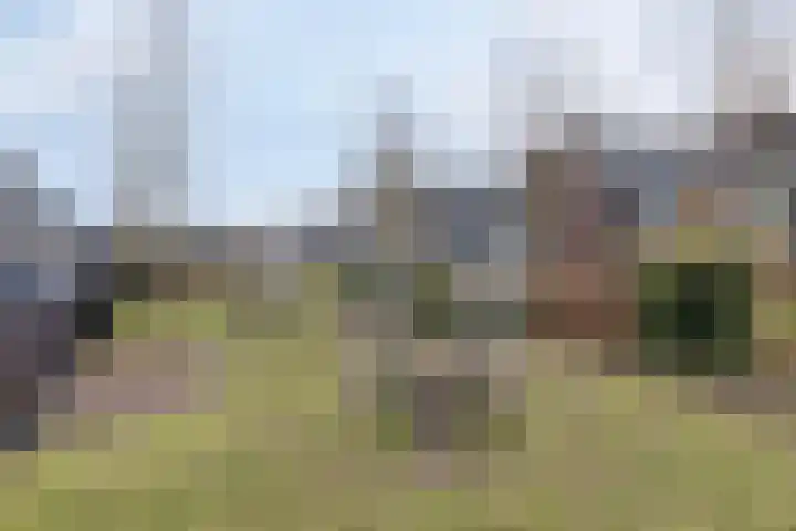 Ringvaartlaan 14 Hillegom thumbnail 42
