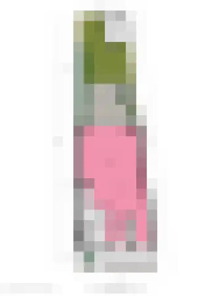 Ringvaartlaan 14 Hillegom thumbnail 47