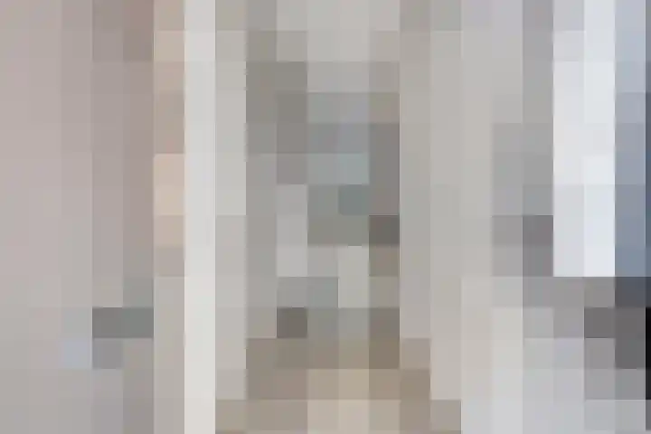 Ringvaartlaan 14 Hillegom thumbnail 7