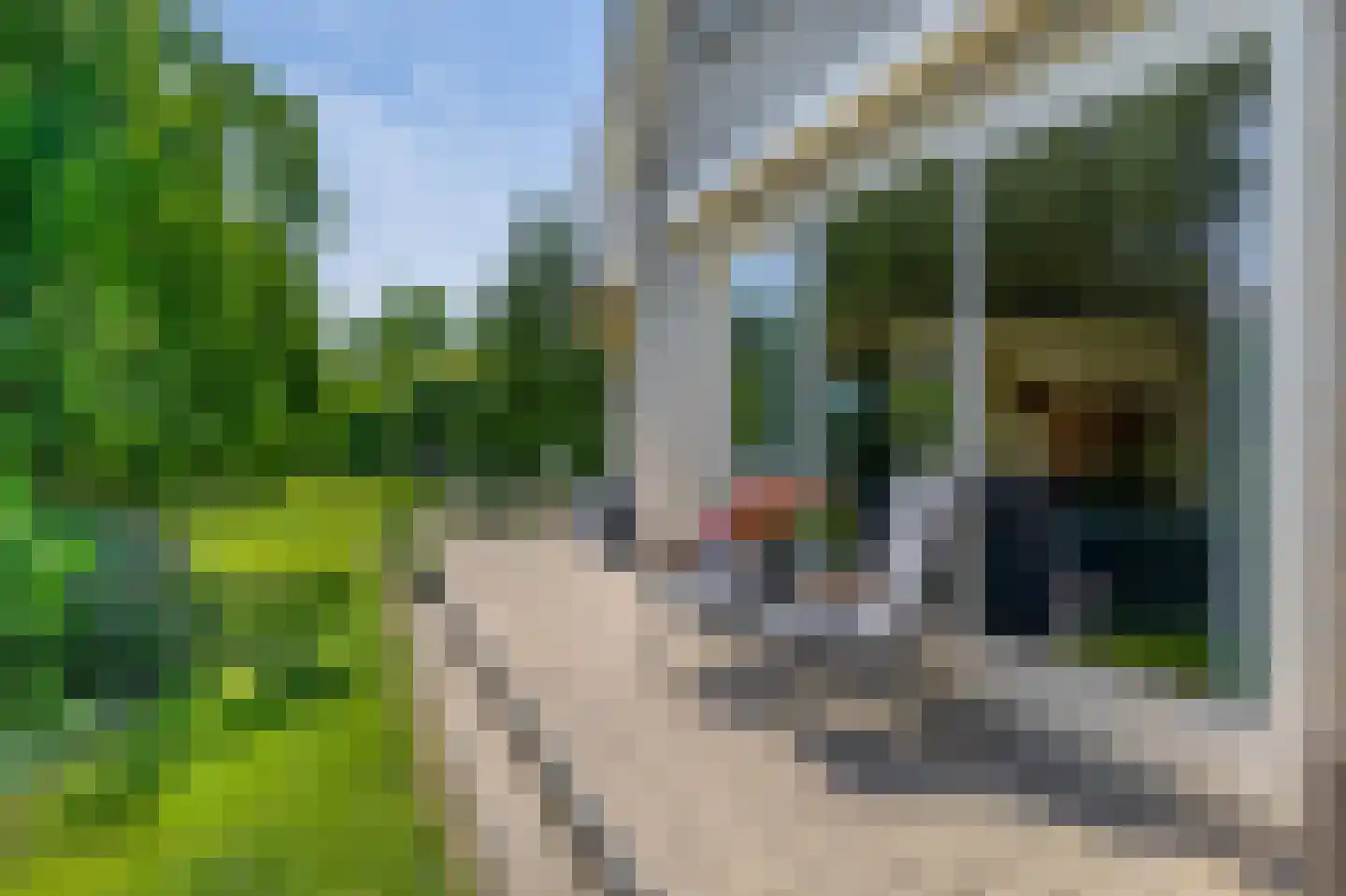 Ringvaartpark 43 Capelle aan den IJssel thumbnail 20