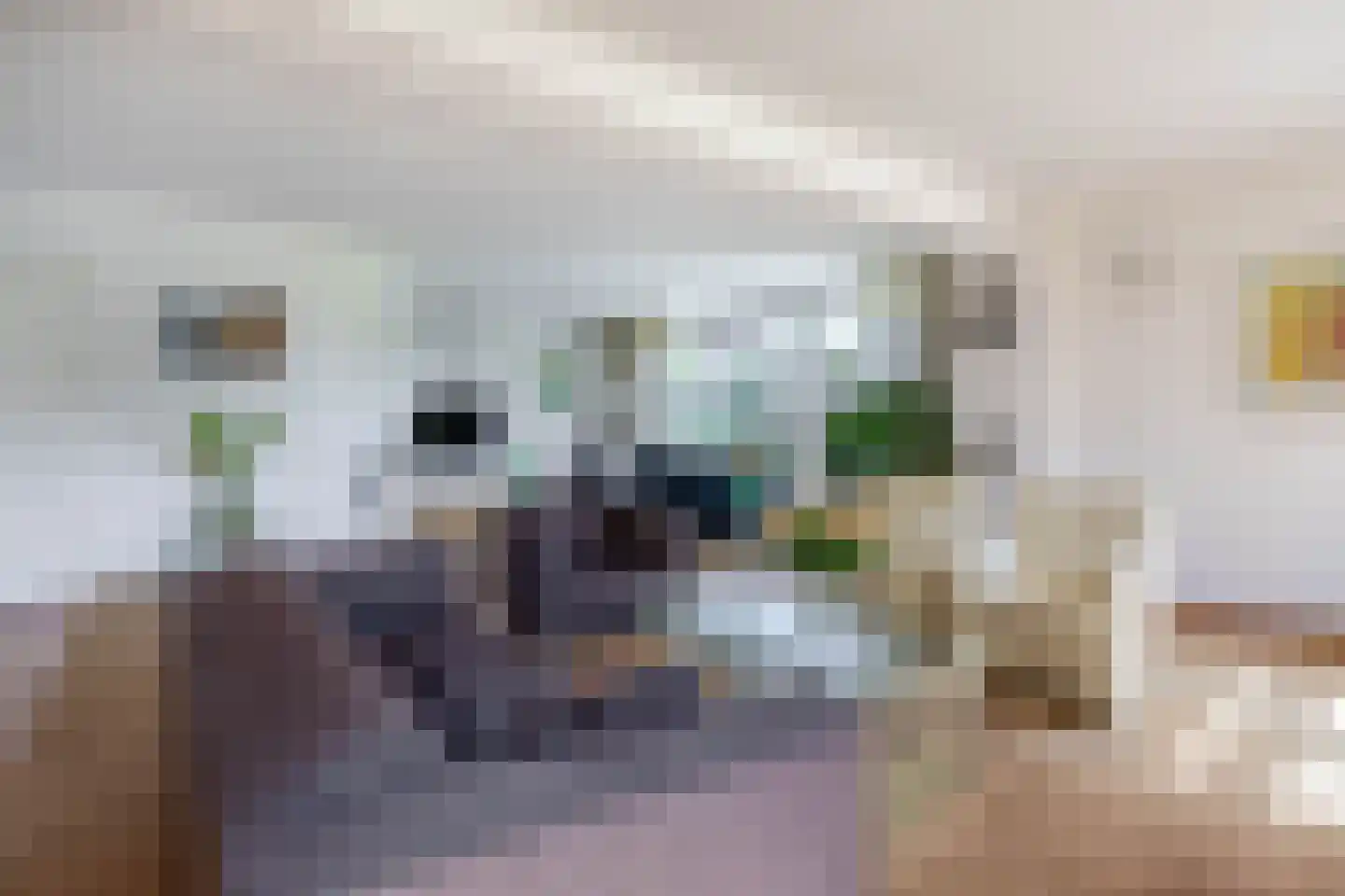 Ringvaartpark 43 Capelle aan den IJssel thumbnail 4
