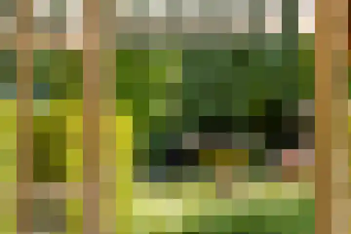 Ringvaartpark 59 Capelle aan den IJssel thumbnail 19
