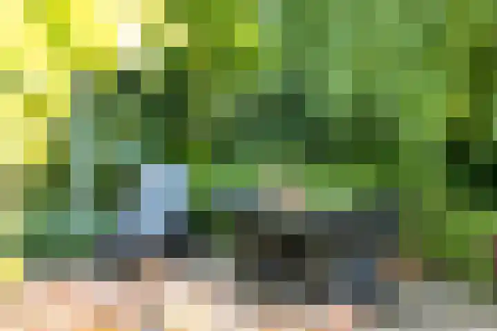 Ringvaartpark 59 Capelle aan den IJssel thumbnail 20