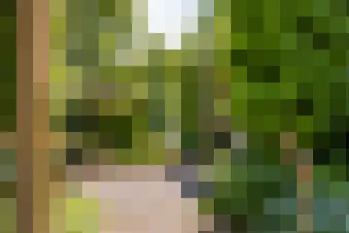 Ringvaartpark 59 Capelle aan den IJssel thumbnail 21