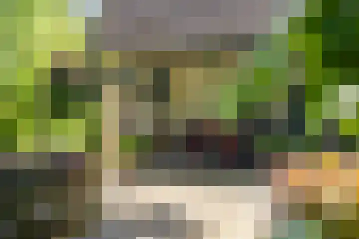 Ringvaartpark 59 Capelle aan den IJssel thumbnail 22