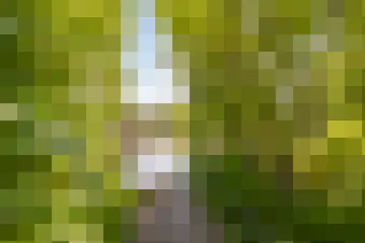 Ringvaartpark 59 Capelle aan den IJssel thumbnail 25