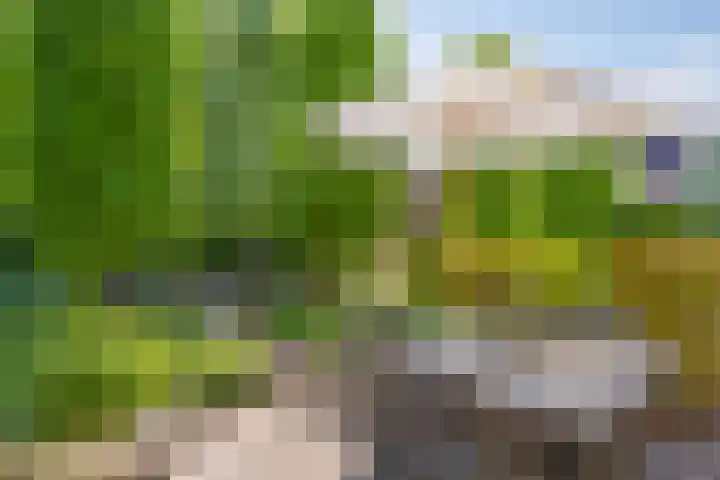 Ringvaartpark 59 Capelle aan den IJssel thumbnail 26