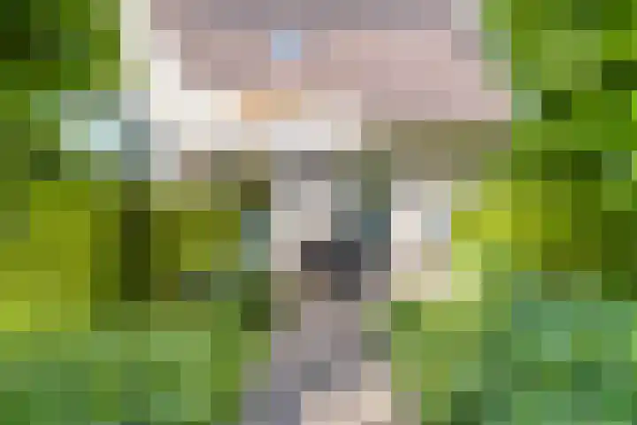 Ringvaartpark 59 Capelle aan den IJssel thumbnail 28