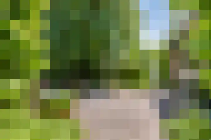Ringvaartpark 59 Capelle aan den IJssel thumbnail 29
