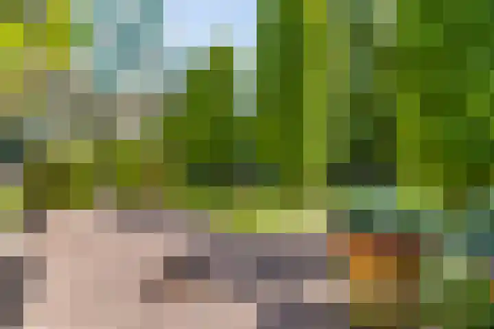Ringvaartpark 59 Capelle aan den IJssel thumbnail 32