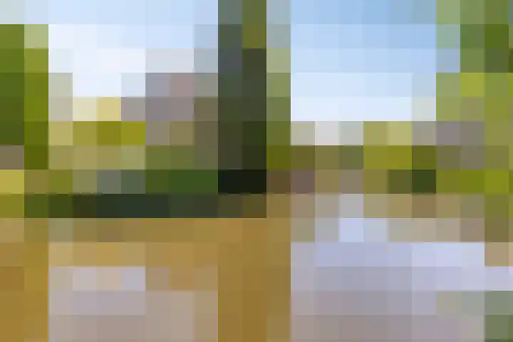 Ringvaartpark 59 Capelle aan den IJssel thumbnail 33