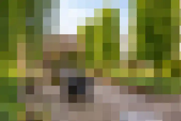 Ringvaartpark 59 Capelle aan den IJssel thumbnail 4