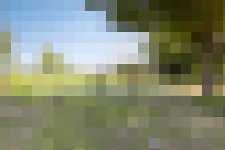 Ringvaartpark 59 Capelle aan den IJssel thumbnail 49