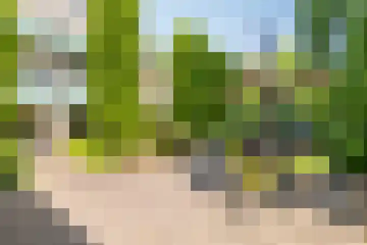 Ringvaartpark 59 Capelle aan den IJssel thumbnail 8