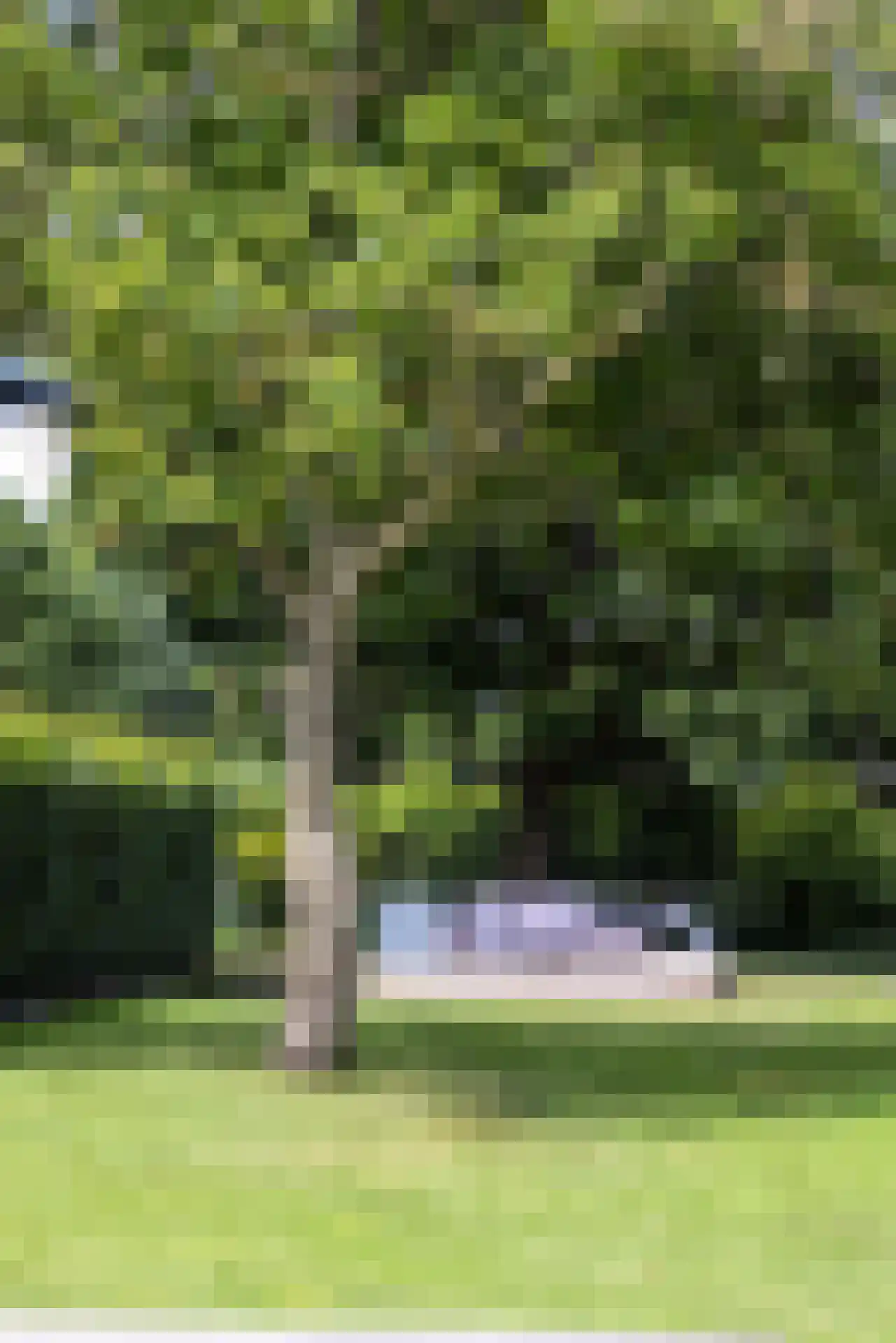 Ringvaartweg 147 Rotterdam thumbnail 46