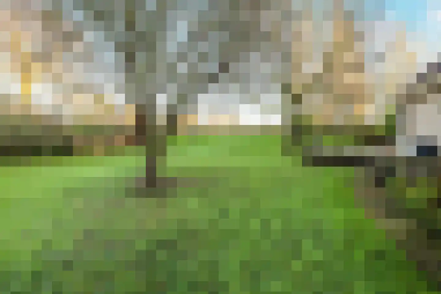 Ringvaartweg 223 Rotterdam thumbnail 77