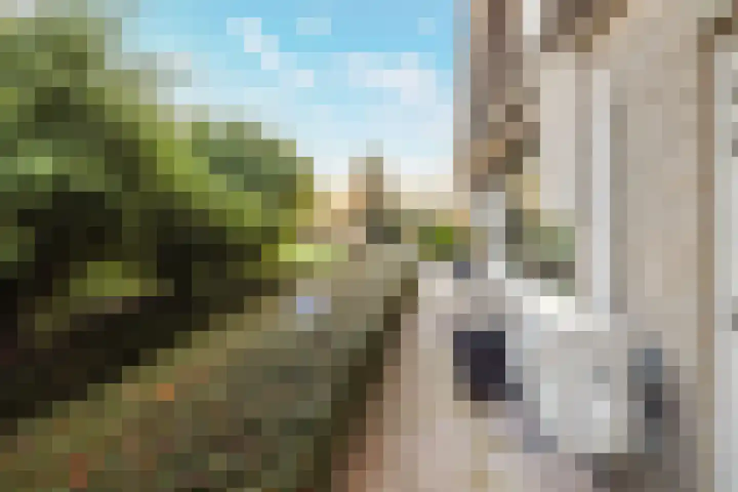 Ringvaartweg 223 Rotterdam thumbnail 78