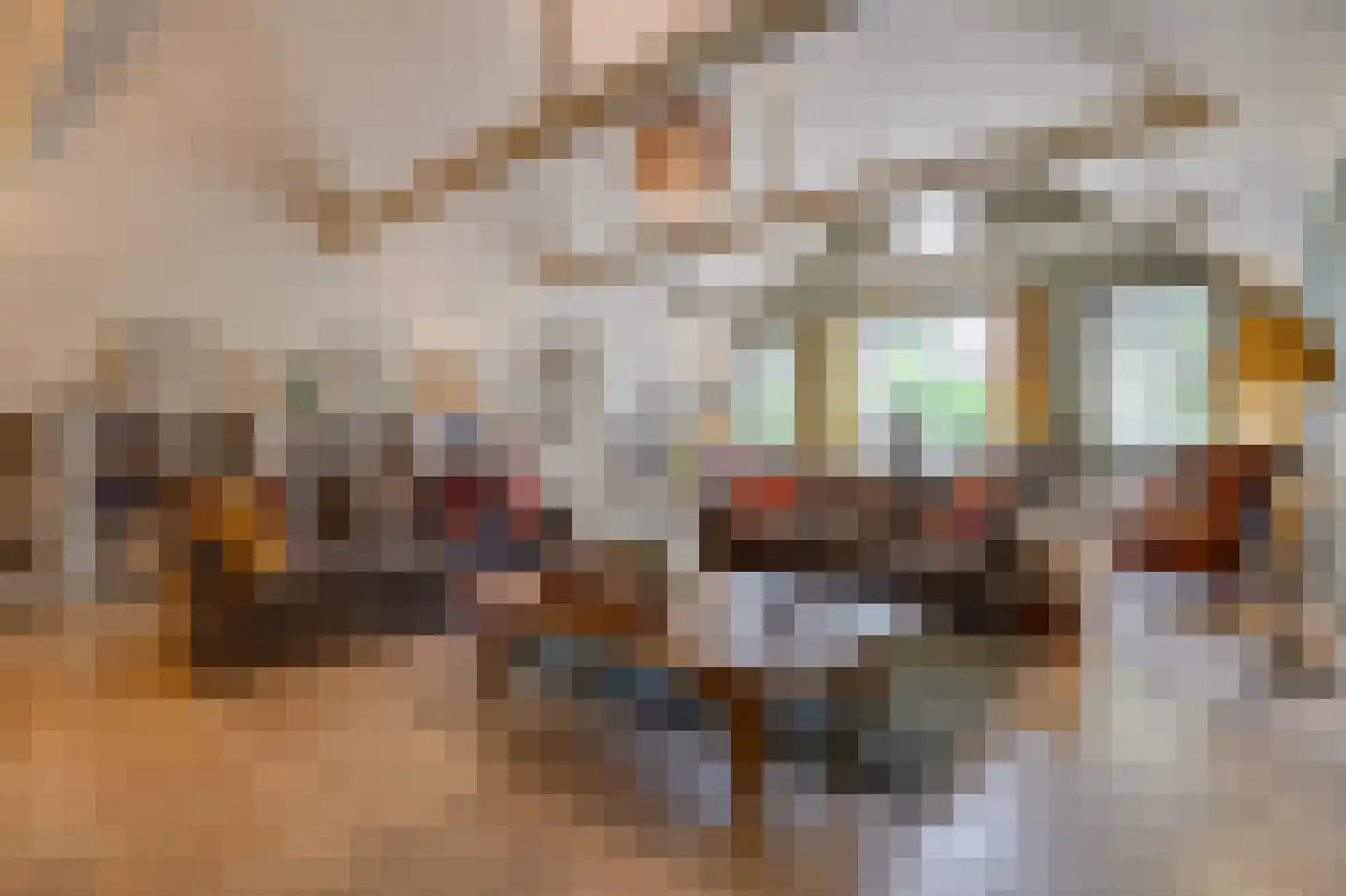Ringvaartweg 32 Waarland thumbnail 10
