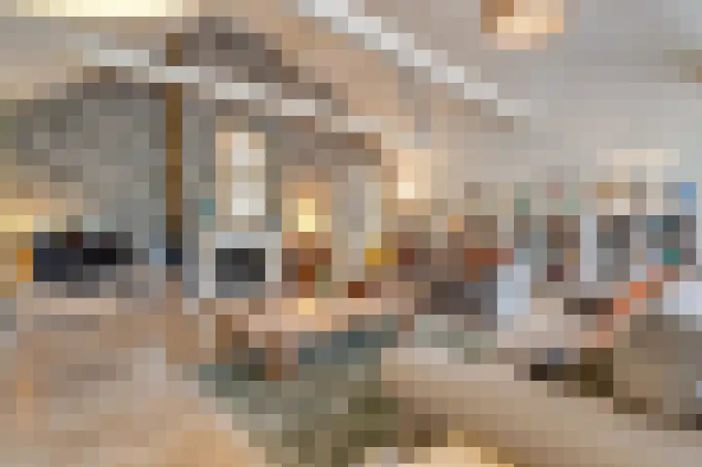 Ringvaartweg 32 Waarland thumbnail 11