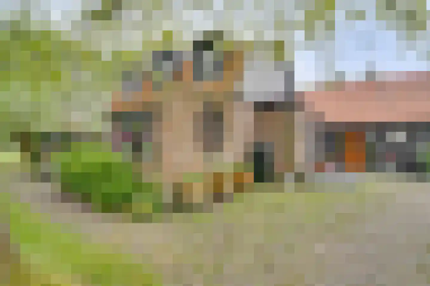 Ringvaartweg 32 Waarland thumbnail 5