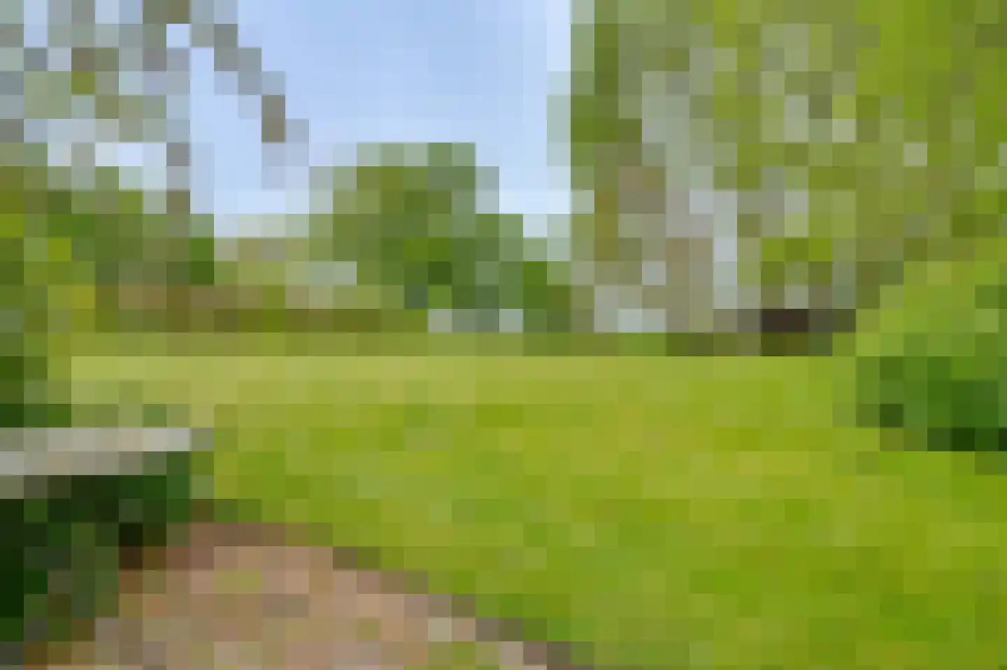 Ringvaartweg 32 Waarland thumbnail 55