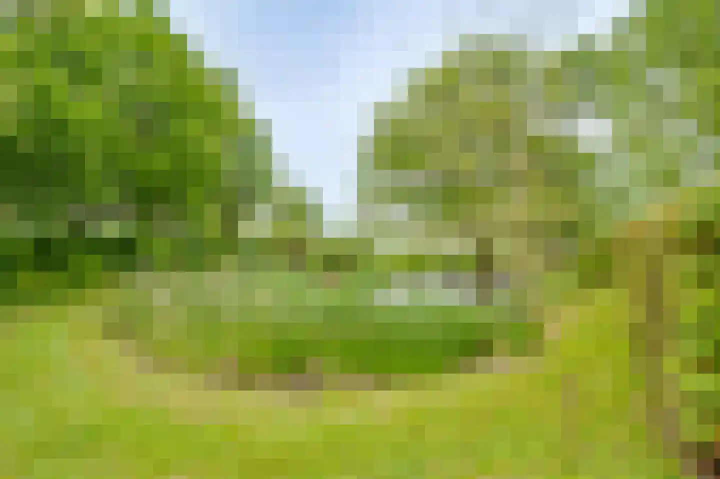 Ringvaartweg 32 Waarland thumbnail 56