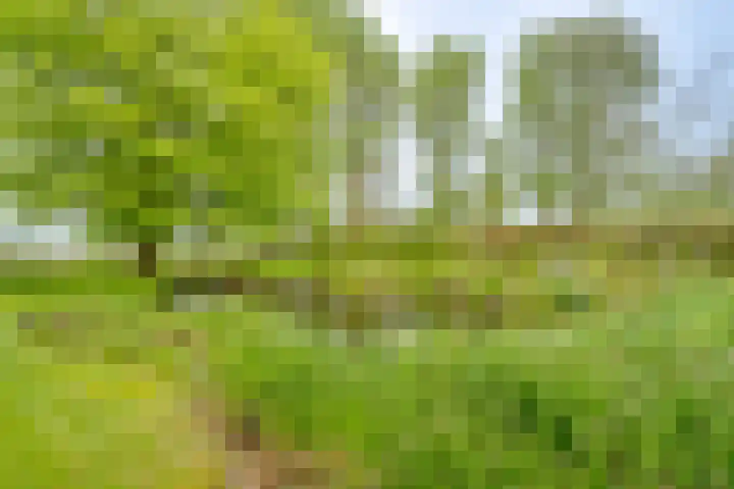 Ringvaartweg 32 Waarland thumbnail 57