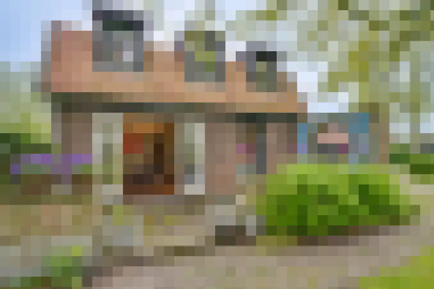 Ringvaartweg 32 Waarland thumbnail 59