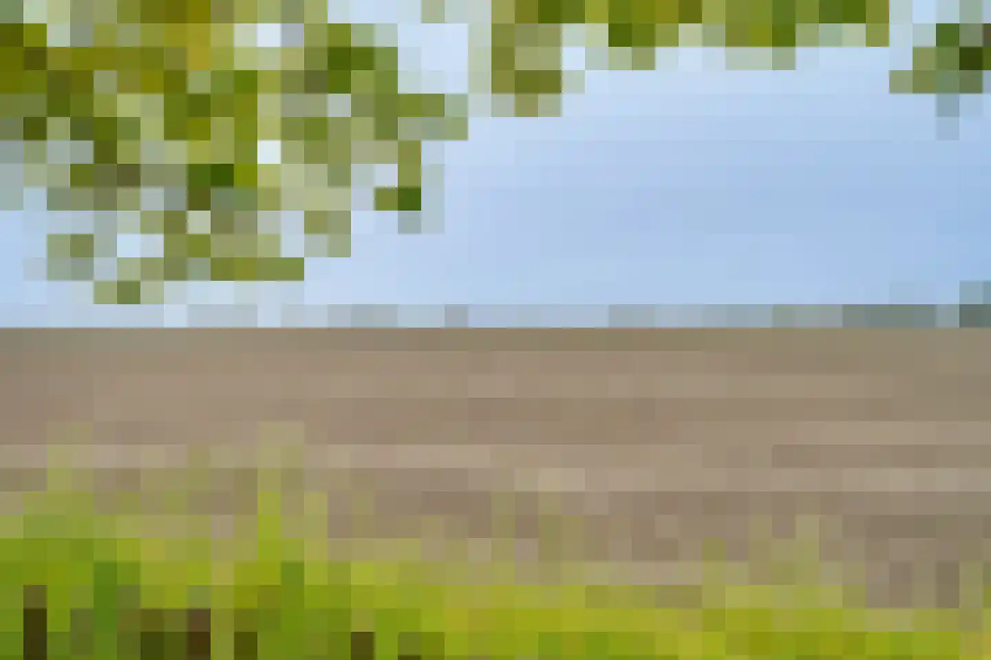 Ringvaartweg 32 Waarland thumbnail 63