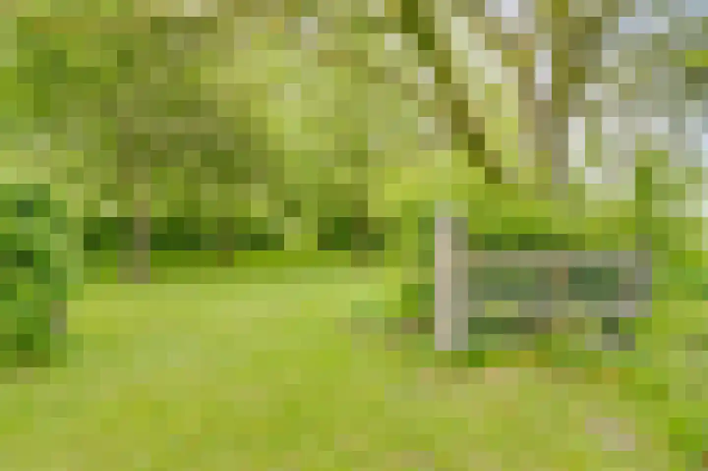 Ringvaartweg 32 Waarland thumbnail 64