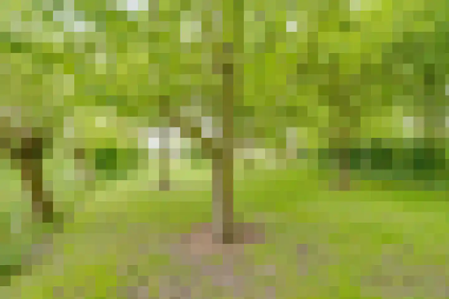 Ringvaartweg 32 Waarland thumbnail 65