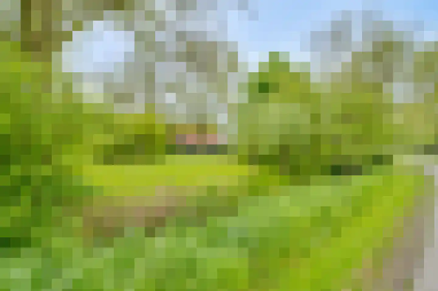 Ringvaartweg 32 Waarland thumbnail 67