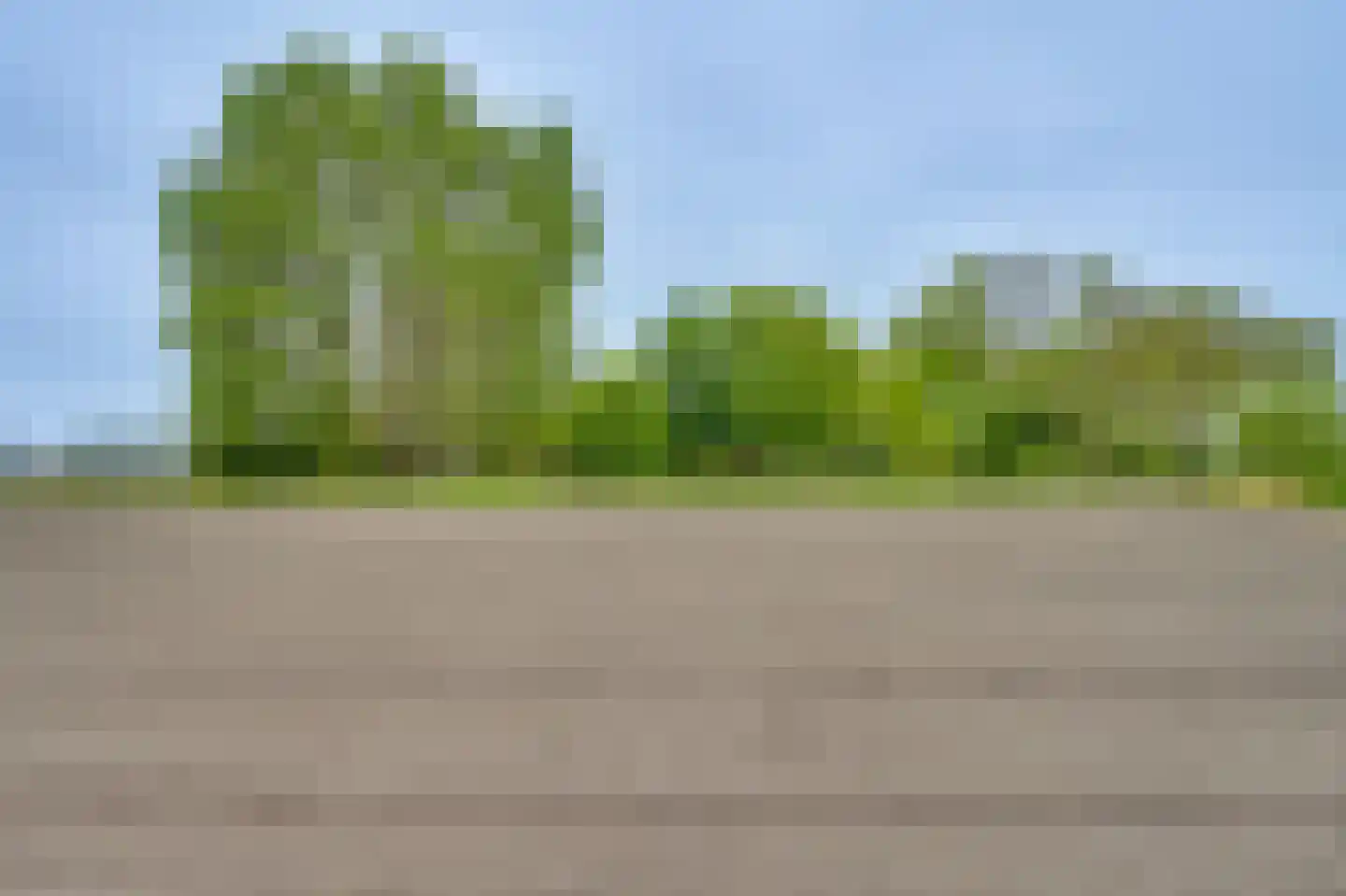 Ringvaartweg 32 Waarland thumbnail 68