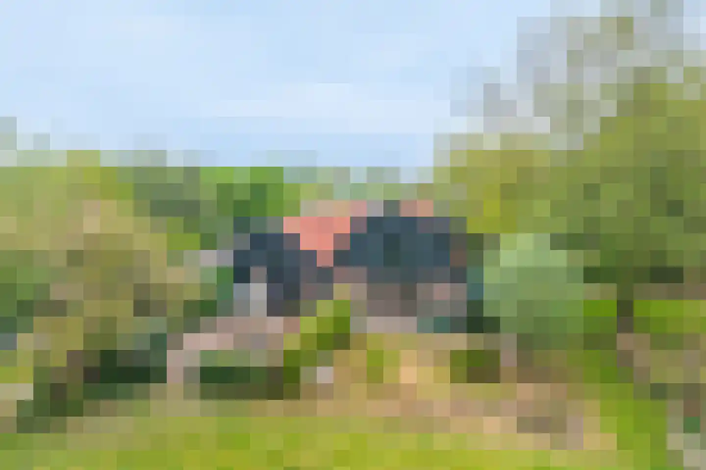 Ringvaartweg 32 Waarland thumbnail 73