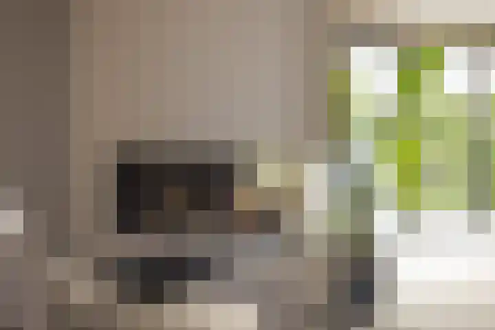 Ringvaartzijde 15 Lisse thumbnail 21