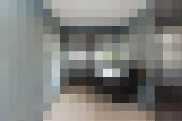 Ringvaartzijde 15 Lisse thumbnail 29
