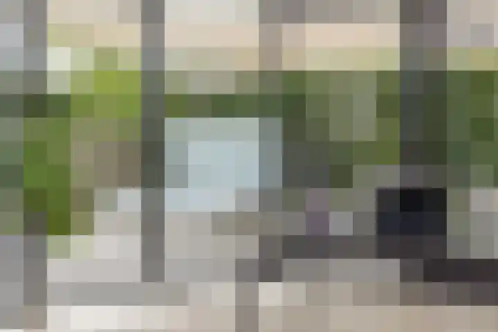 Ringvaartzijde 15 Lisse thumbnail 31
