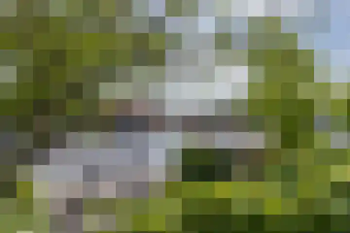 Ringvaartzijde 15 Lisse thumbnail 41