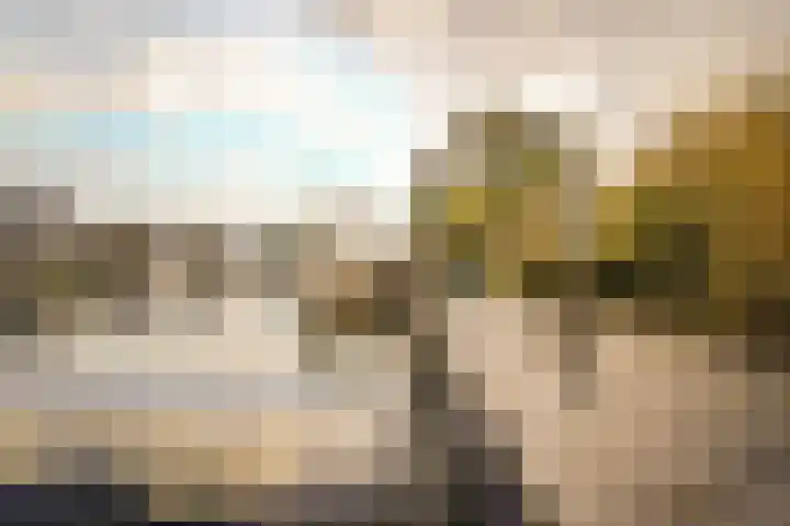Ringvaartzijde 15 Lisse thumbnail 44