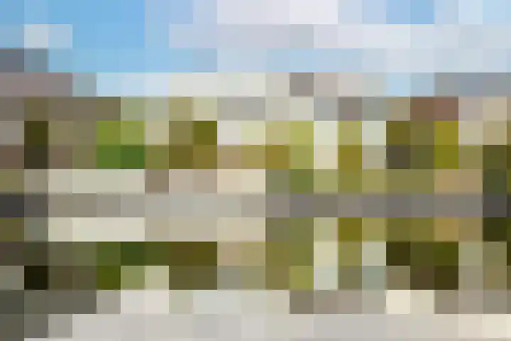 Ringvaartzijde 15 Lisse thumbnail 45